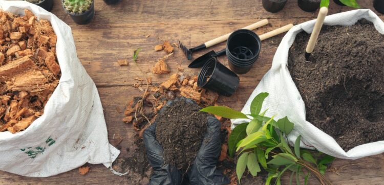 gardener